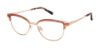 Picture of Ted Baker Eyeglasses TW517