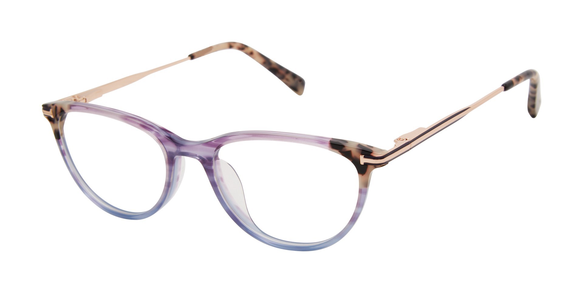 Picture of Ted Baker Eyeglasses B995