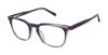 Picture of Ted Baker Eyeglasses TW018