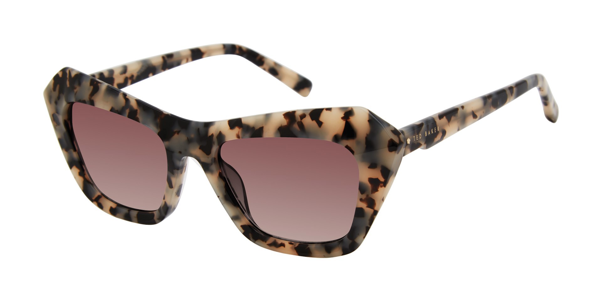 Picture of Ted Baker Sunglasses TWS204