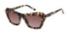 Picture of Ted Baker Sunglasses TWS204