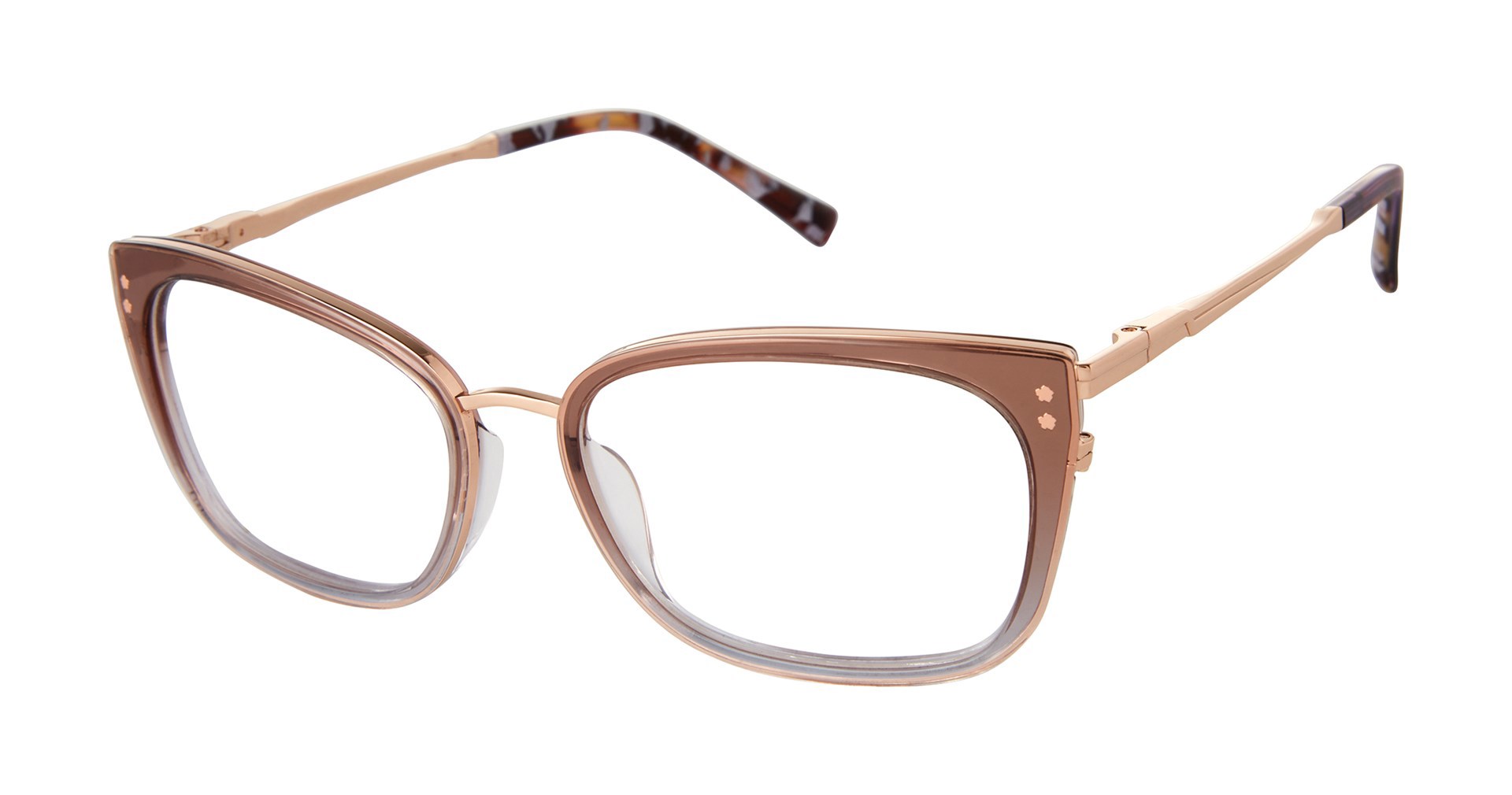 Picture of Ted Baker Eyeglasses TW017