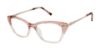 Picture of Ted Baker Eyeglasses TW019