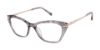 Picture of Ted Baker Eyeglasses TW019