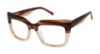Picture of Ted Baker Eyeglasses TW016