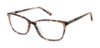 Picture of Ted Baker Eyeglasses TFW012