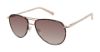 Picture of Ted Baker Sunglasses TWS205