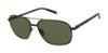 Picture of Ted Baker Sunglasses TMS129