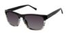 Picture of Ted Baker Sunglasses TMS125