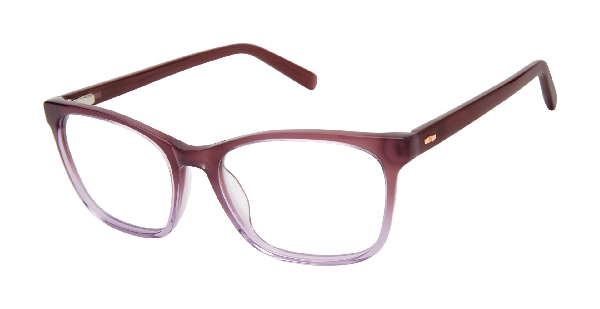 Picture of Ted Baker Eyeglasses TWBIO003