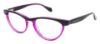 Picture of Ted Baker Eyeglasses B713