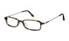Picture of Ted Baker Eyeglasses B852