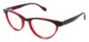 Picture of Ted Baker Eyeglasses B713