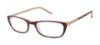 Picture of Ted Baker Eyeglasses B706