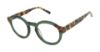 Picture of Ted Baker Eyeglasses B990