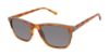 Picture of Ted Baker Sunglasses TMS092