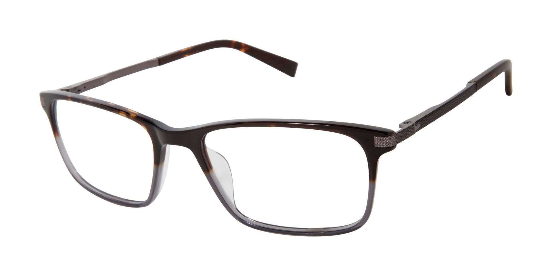 Picture of Ted Baker Eyeglasses TXL004