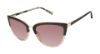 Picture of Ted Baker Sunglasses TWS161
