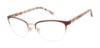 Picture of Ted Baker Eyeglasses TW513
