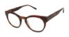 Picture of Ted Baker Eyeglasses TW010