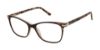 Picture of Ted Baker Eyeglasses TW008