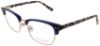 Picture of Ted Baker Eyeglasses TPW005