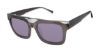 Picture of Ted Baker Sunglasses TMS091