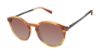 Picture of Ted Baker Sunglasses TMS094