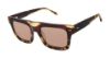 Picture of Ted Baker Sunglasses TMS091
