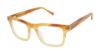 Picture of Ted Baker Eyeglasses TM010