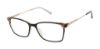 Picture of Ted Baker Eyeglasses TFW009