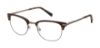 Picture of Ted Baker Eyeglasses TFM500