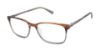 Picture of Ted Baker Eyeglasses TFM007