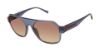 Picture of Ted Baker Sunglasses TBU001
