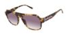 Picture of Ted Baker Sunglasses TBU001