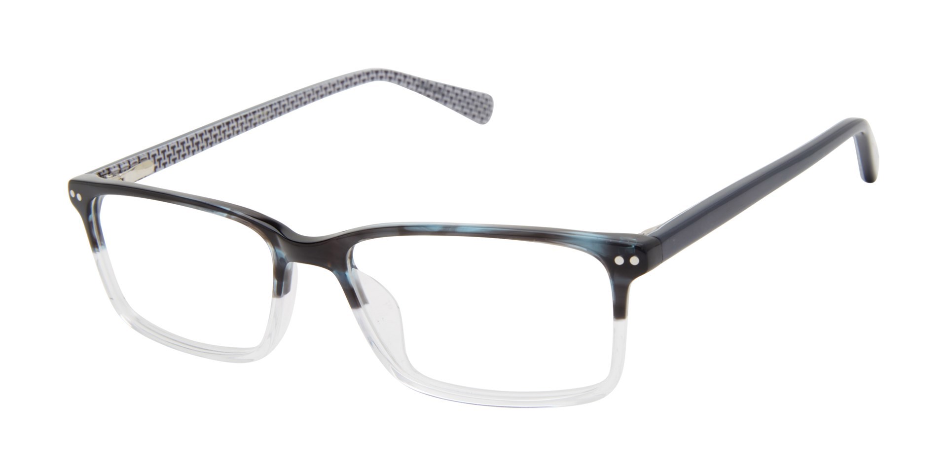Picture of Ted Baker Eyeglasses B979