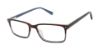 Picture of Ted Baker Eyeglasses B979