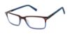 Picture of Ted Baker Eyeglasses B972