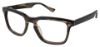 Picture of Ted Baker Eyeglasses B881