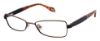 Picture of Ted Baker Eyeglasses B228