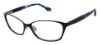 Picture of Ted Baker Eyeglasses B225