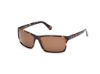 Picture of Timberland Sunglasses TB00032