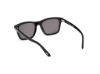 Picture of Tom Ford Sunglasses FT1179