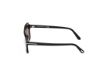 Picture of Tom Ford Sunglasses FT1176