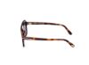 Picture of Tom Ford Sunglasses FT1176