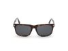 Picture of Tom Ford Sunglasses FT0775 STEPHENSON