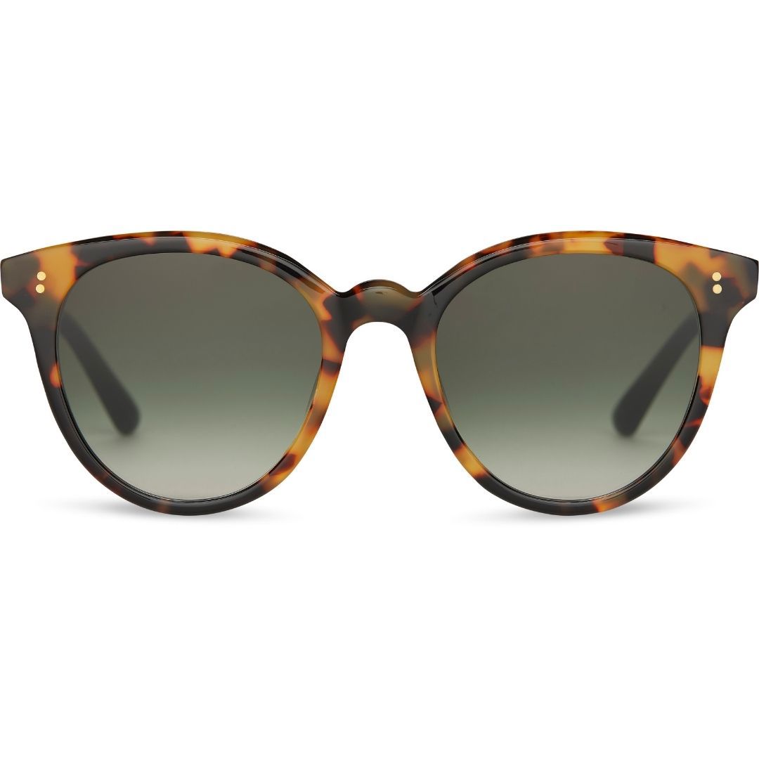 Picture of Toms Sunglasses AARYN