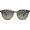 Picture of Toms Sunglasses BELLINI