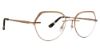 Picture of Totally Rimless Eyeglasses Visha 366