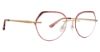 Picture of Totally Rimless Eyeglasses Visha 366